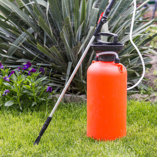 Fertilizing and Pest Control